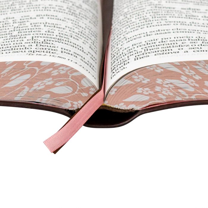 Bíblia Sagrada Letra Supergigante sem índice (marrom e rosa)