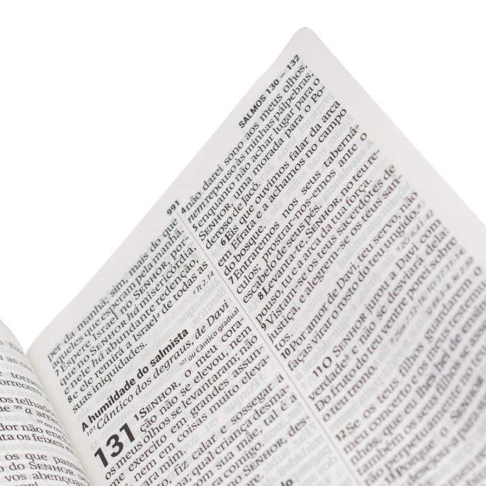 Bíblia Sagrada Letra Supergigante sem índice (marrom e rosa)