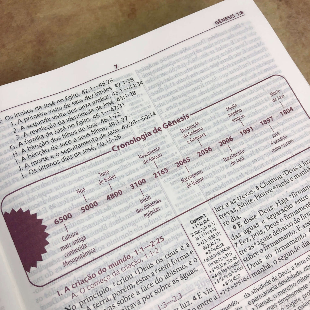 Bíblia de estudo anotada expandida