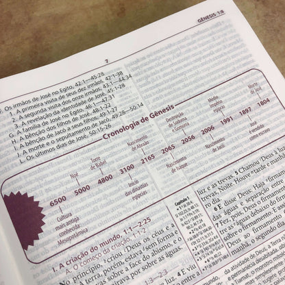 Bíblia de estudo anotada expandida
